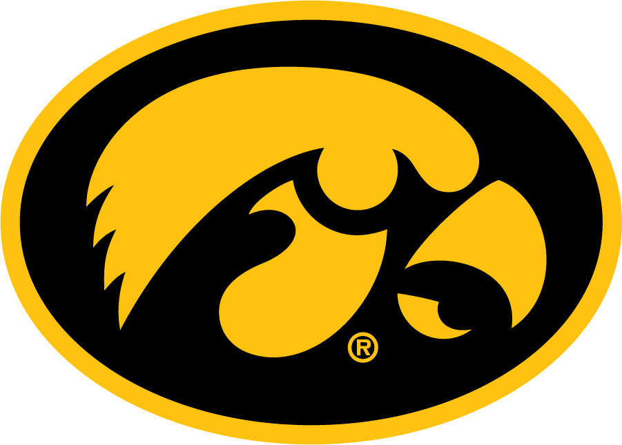 Iowa Hawkeyes 1993-Pres Alternate Logo v2 diy DTF decal sticker